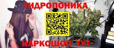 mdpv Севастополь